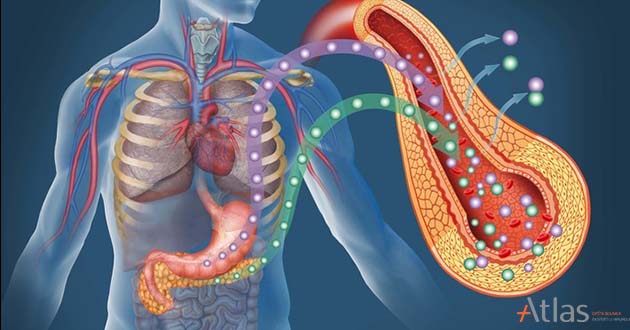 Upala Pankreasa - Pankreatitis