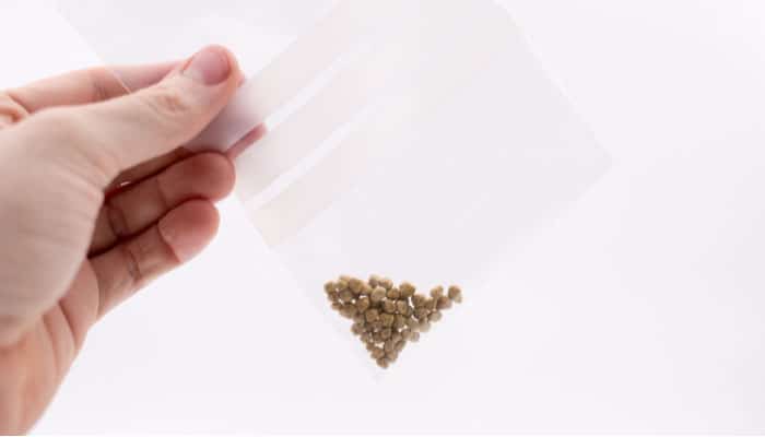 stones in the gallbladder stones in the gallbladder